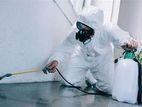 Pest Control and Insect Treatments