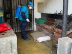 Pest Control Service