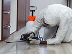 Pest Control Service