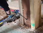 Pest Control Service
