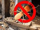Pest Control Service