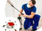 Pest Control Service - Kiribathgoda