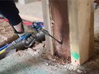 Pest Control Service (Termite )