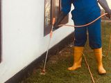Pest Control Service (Termite )