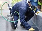 Pest Control Service (Termite )