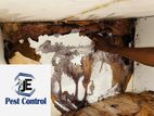 Pest Control (Termite Control)