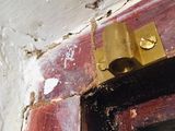 Pest control ( termite )