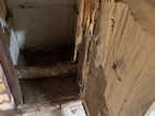 Pest control ( termite )