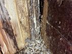 Pest control (termite )