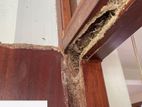 Pest control (termite)