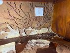Pest control (termite )