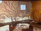 Pest control (termite )