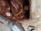 Pest control ( termite)
