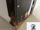 Pest control ( termite)