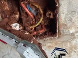 Pest control ( termite)