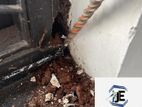 Pest control (termite)