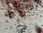 Pest control ( termite )