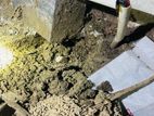 Pest control ( termite)