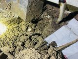 Pest control ( termite)