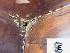 Pest control ( termite )