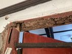 Pest control (termite )