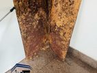 Pest control ( termite )