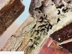 Pest Control (Termite)