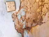 Pest control ( termite)