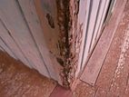 Pest Control Termite Treatment ( කෘමි උවදුරු මර්ධනය )