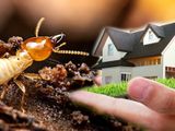 Pest Control Termite Treatment ( කෘමි උවදුරු මර්ධනය )