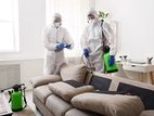 Pest Control Treatment