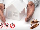 Pest Control Treatments