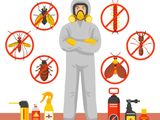 Pest Control Treatments