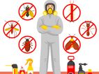 Pest Control Treatments