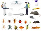 Pest Control Treatments