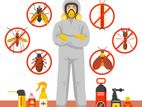 Pest Control Treatments