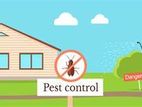 Pest Control Treatments