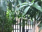 Pet Boarding House