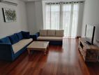 Pet Friendly Apartment for rent in Colombo 5