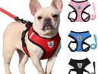 Pet Harness