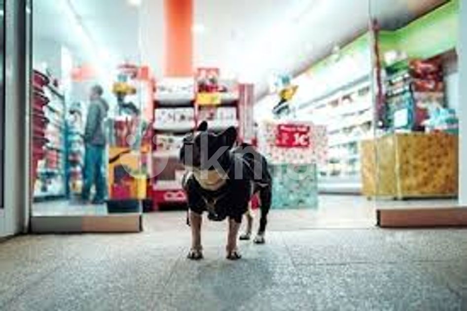 Pet Store Management Pos Software in Colombo 1 ikman