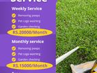 Pet Waste Management Service