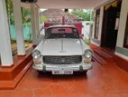Peugeot 404 1973