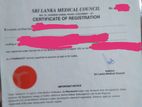 Pharmacist License for Rent