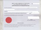 Pharmacist License