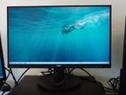 Philips 21.5 Inch Monitor