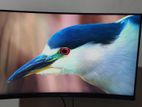 Philips 32 Inch 2K Monitor (144hz)