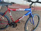 Phillip Mountain Bike