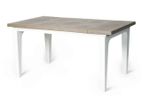 Phoenix 5x3 Modern Plastic Table