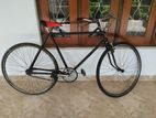 Phoenix Bicycle